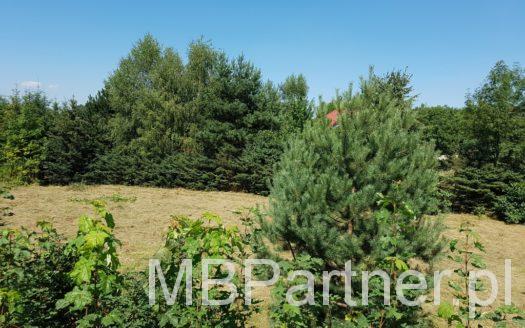 Zakamycze -atrakcyjna, WZ na 2 domy, kompletne media, cisza, dużo zieleni.